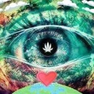 Meet your Posher, Drea